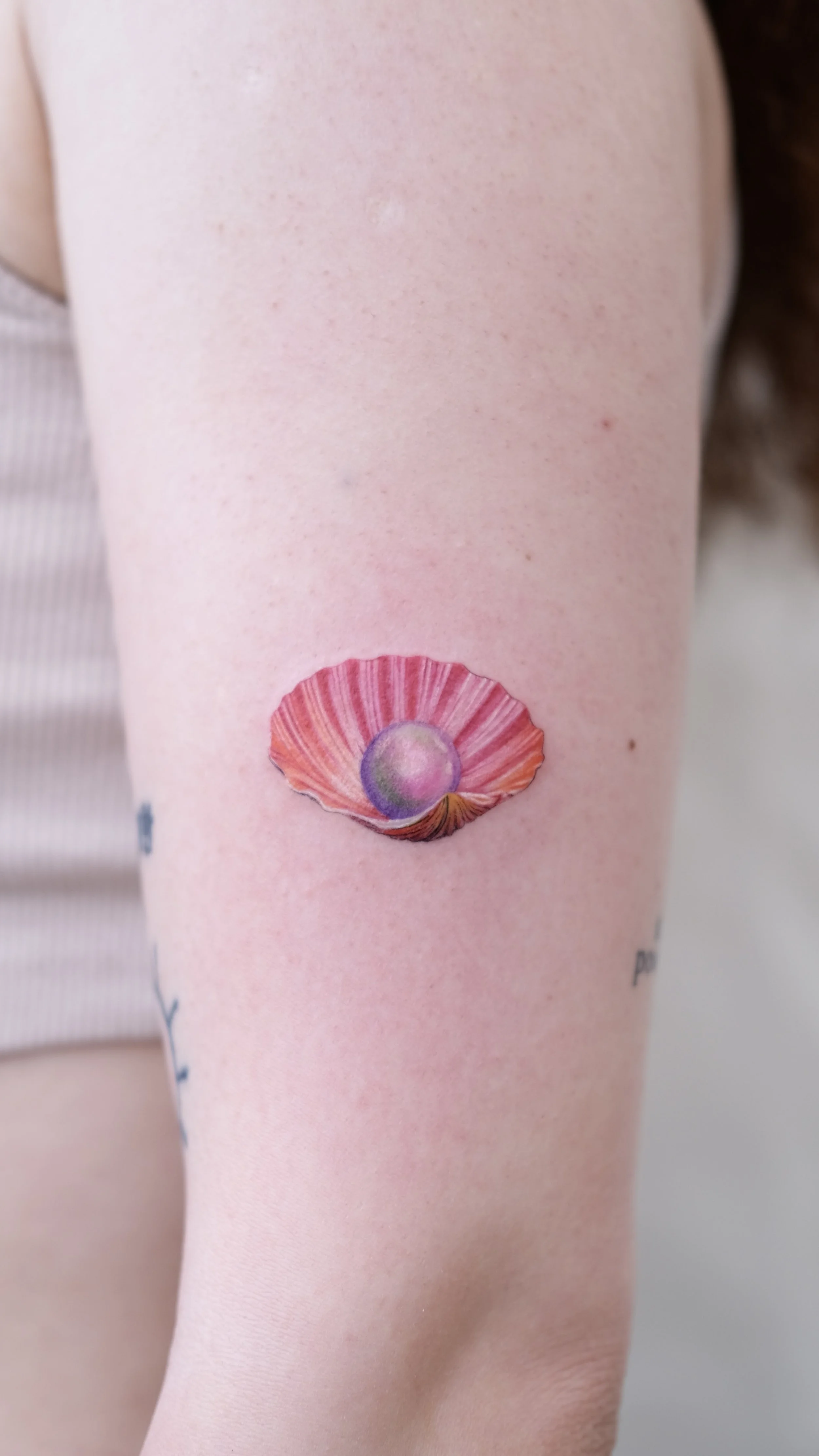 A tattoo of a seashell with a pearl on a person's upper arm.