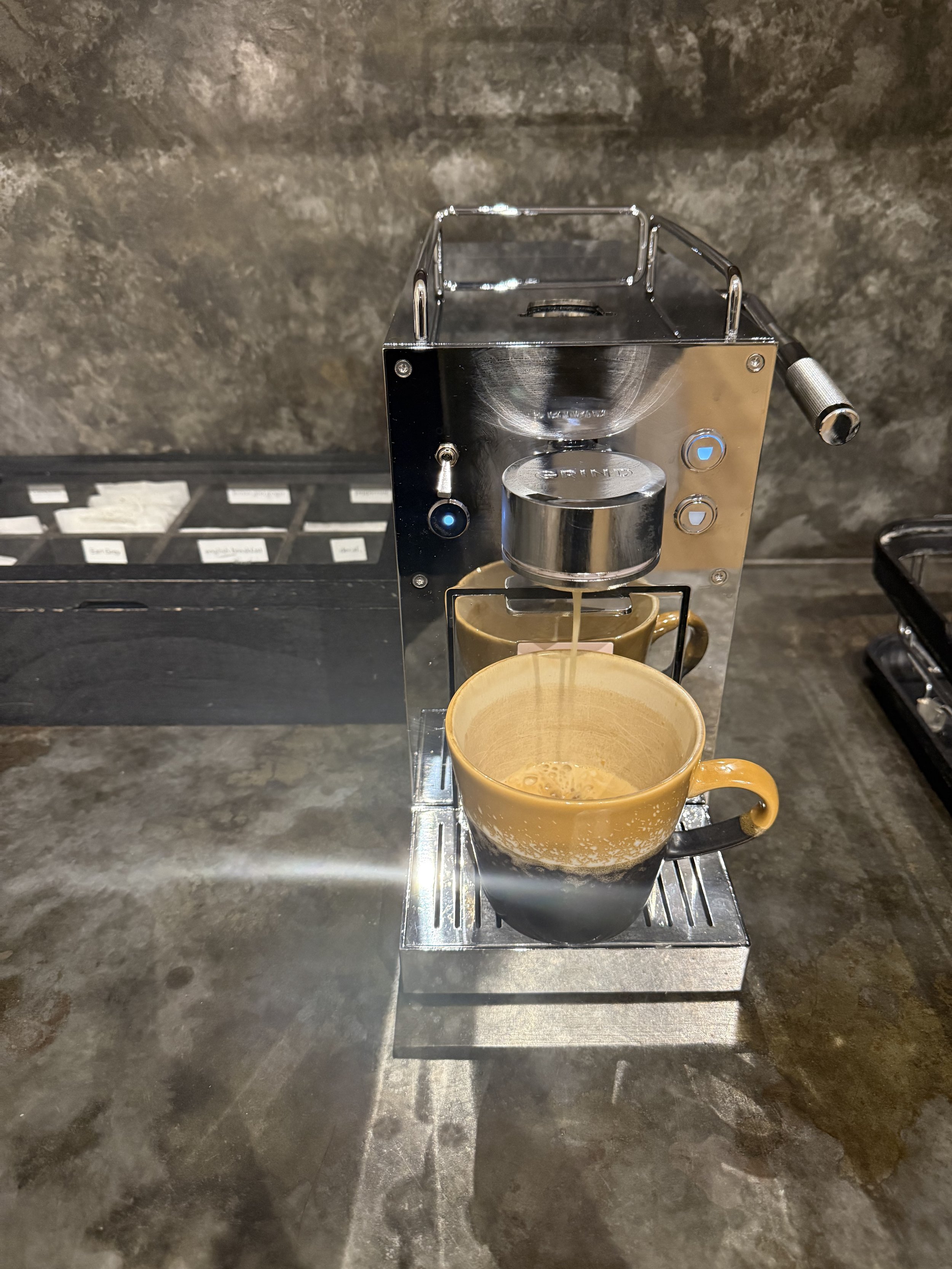 The Spleen + what we mean