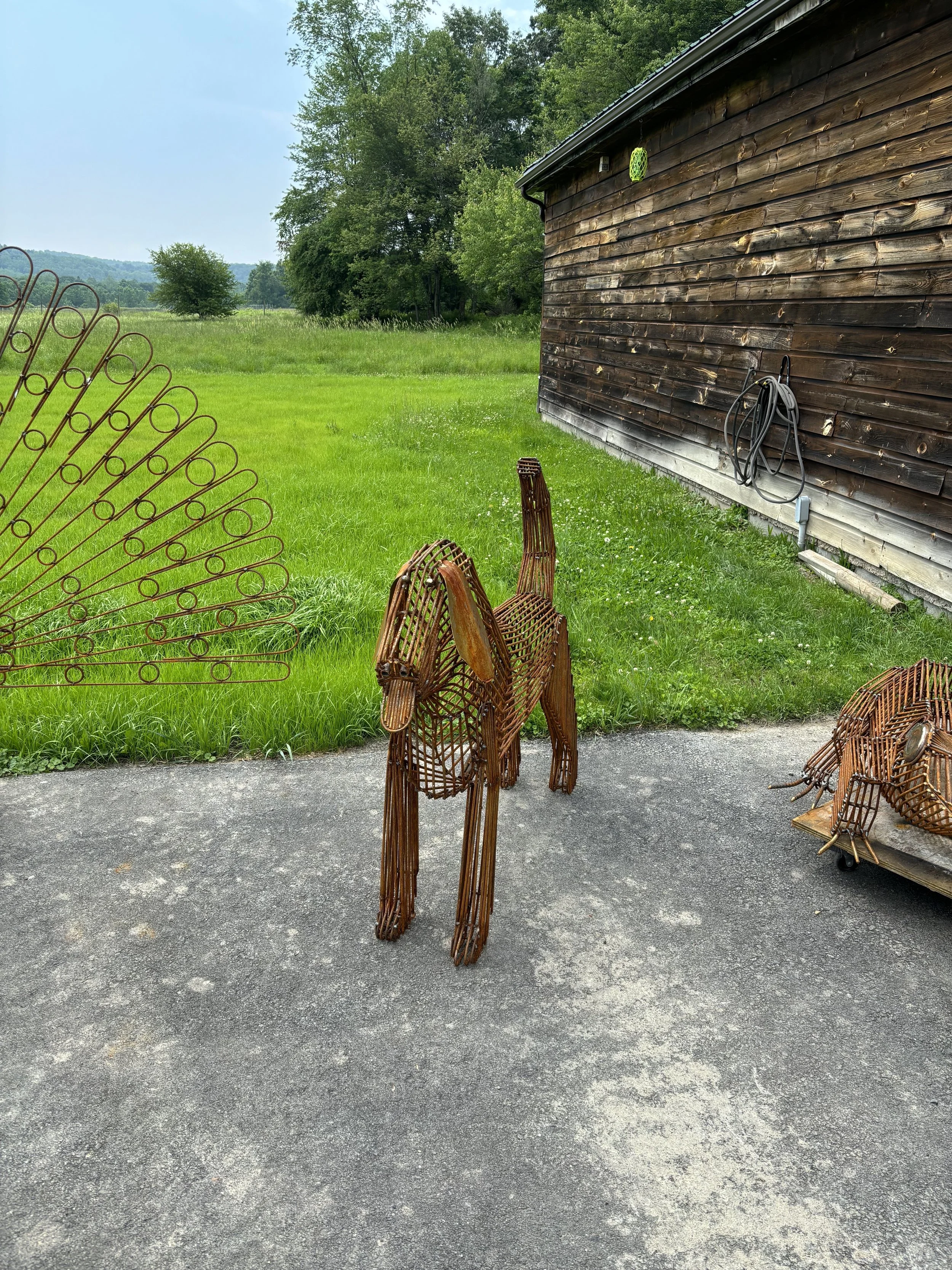 Dog
54”x10”x40”
$1250