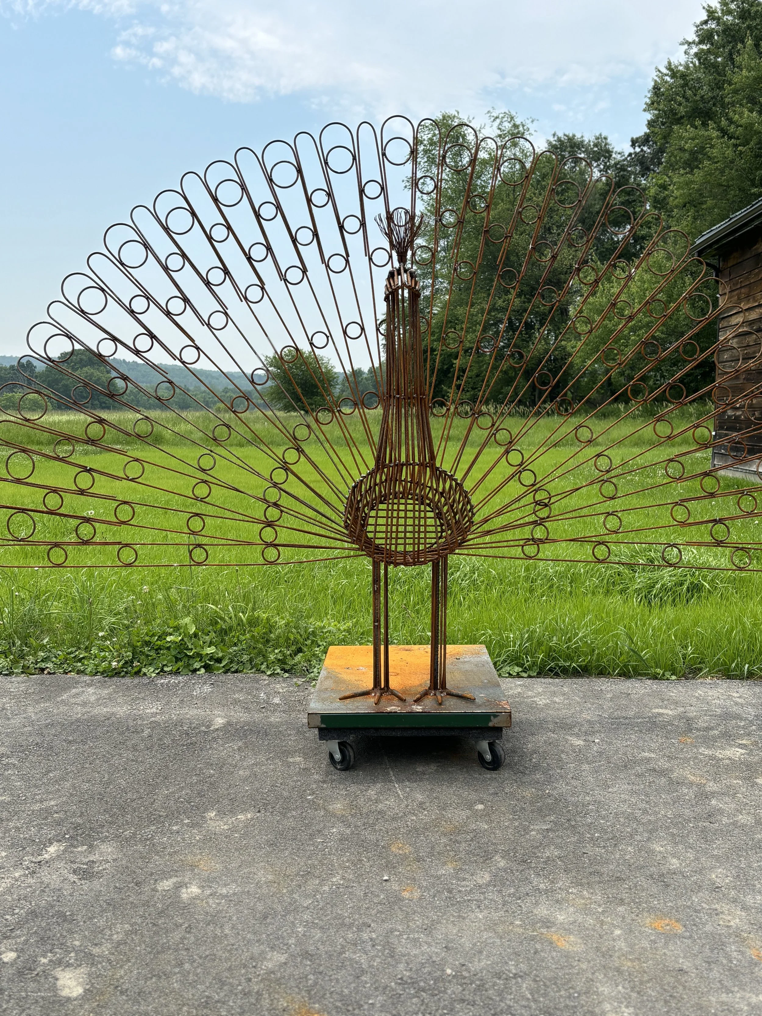Peacock
24”x100”x68”
$3400