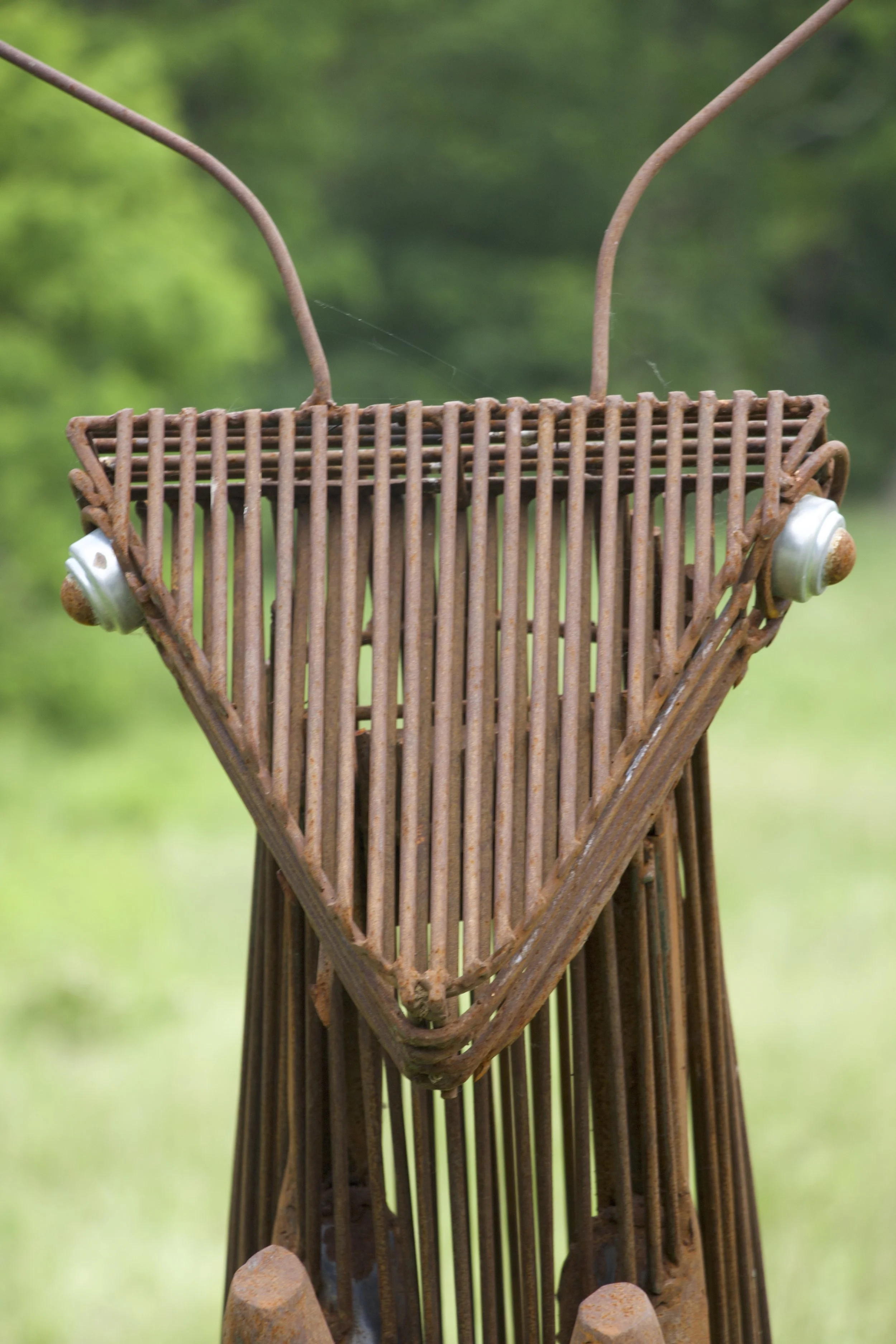 Praying Mantis
102”x48”x68”
$2300