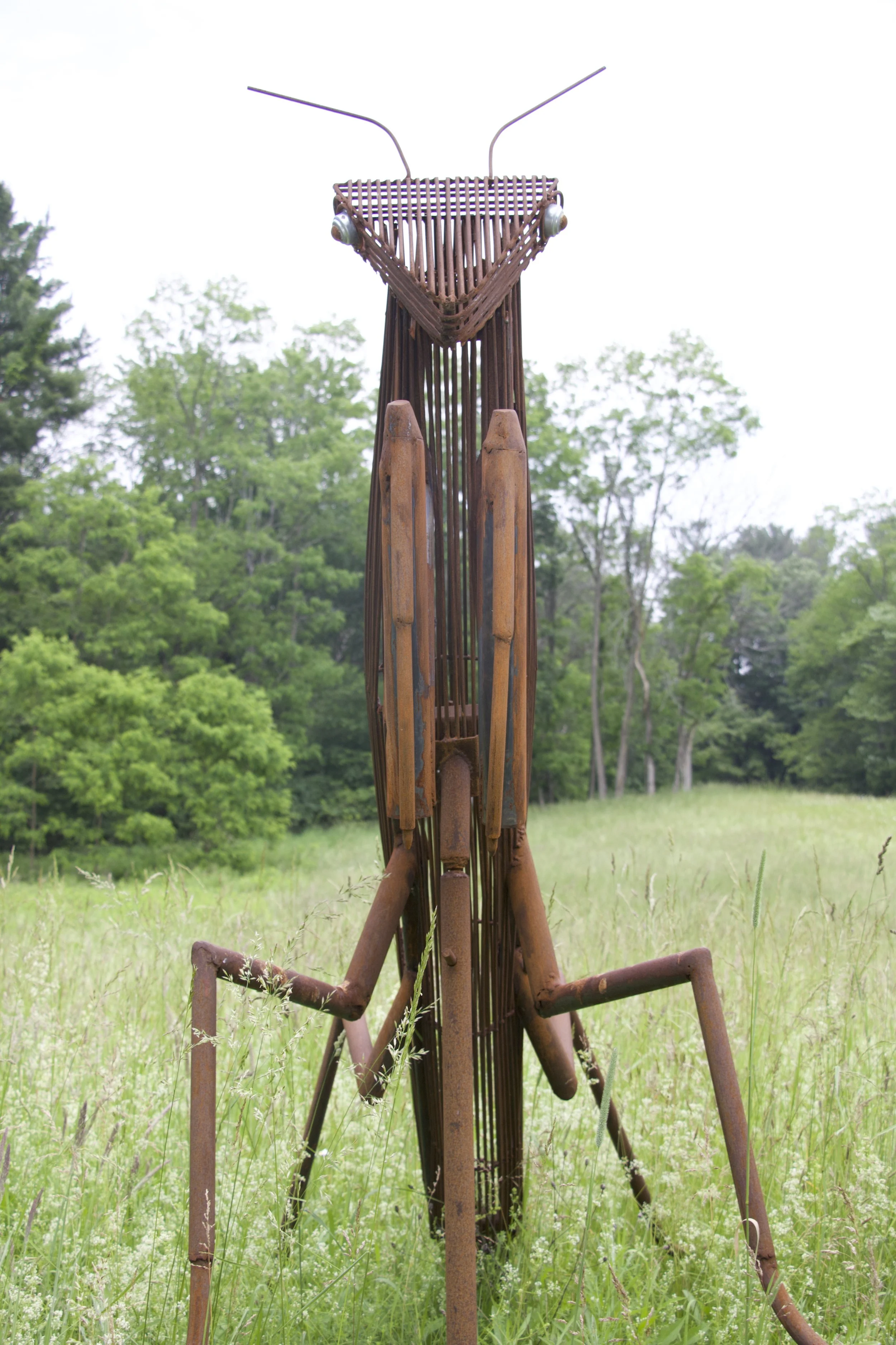 Praying Mantis
102”x48”x68”
$2300