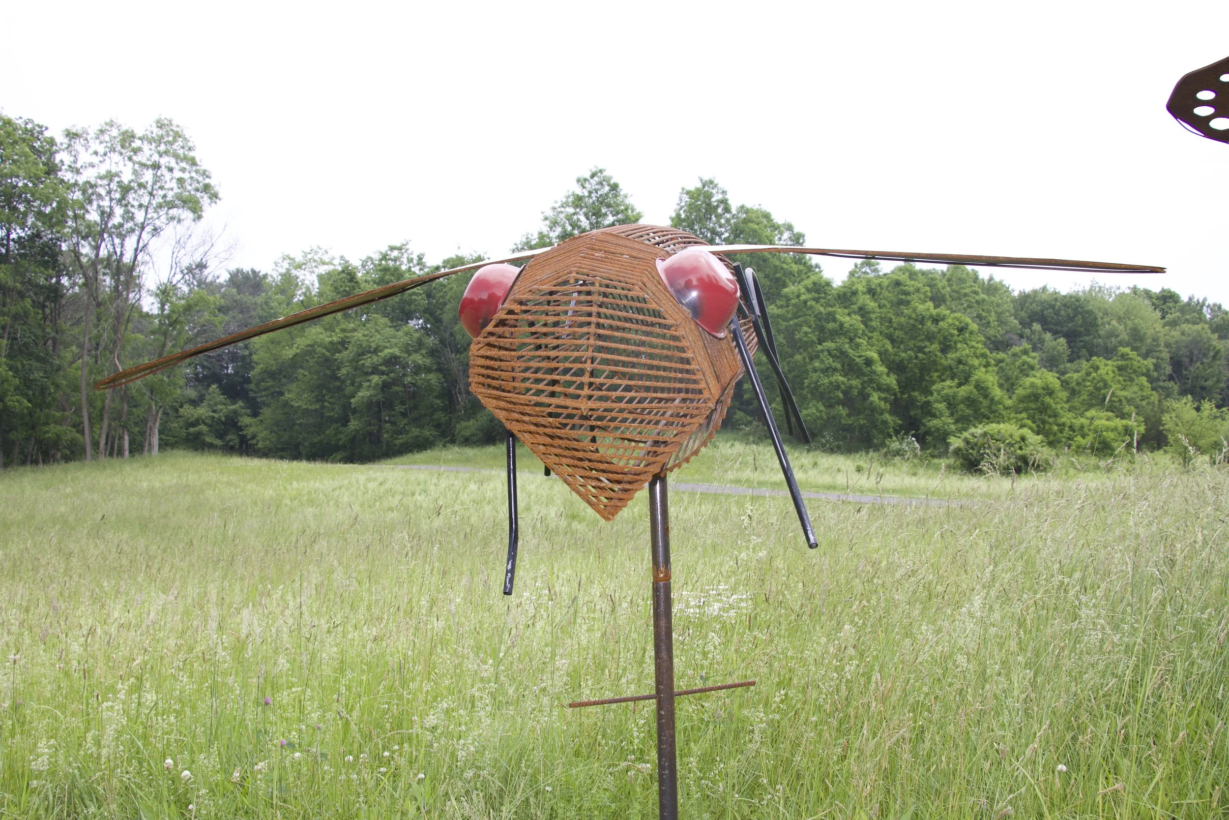 Fly
60”x96”x26”
$1050