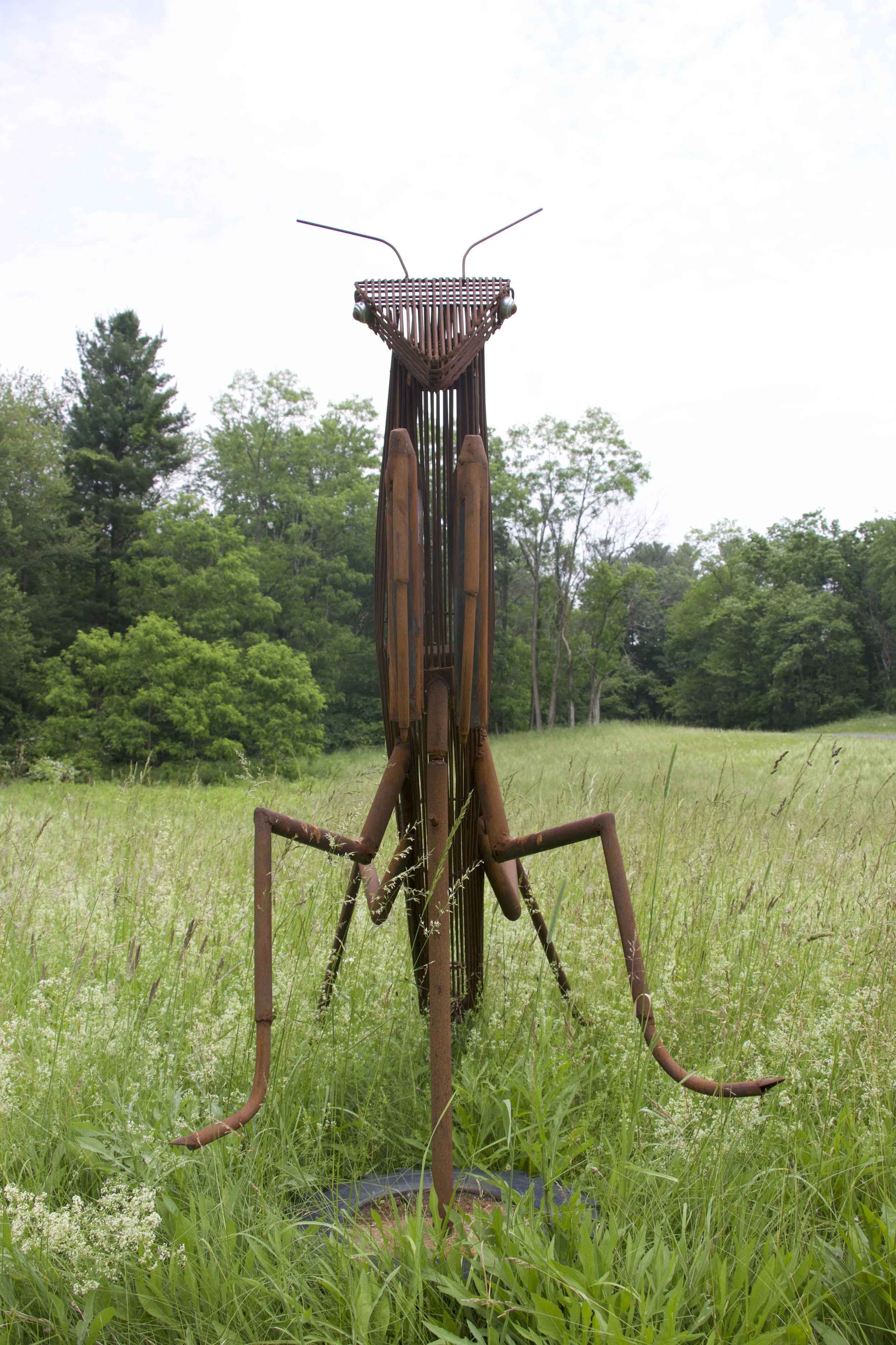 Praying Mantis
102”x48”x68”
$2300