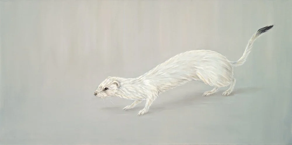 Ermine
Oil on Canvas 24" x 48"