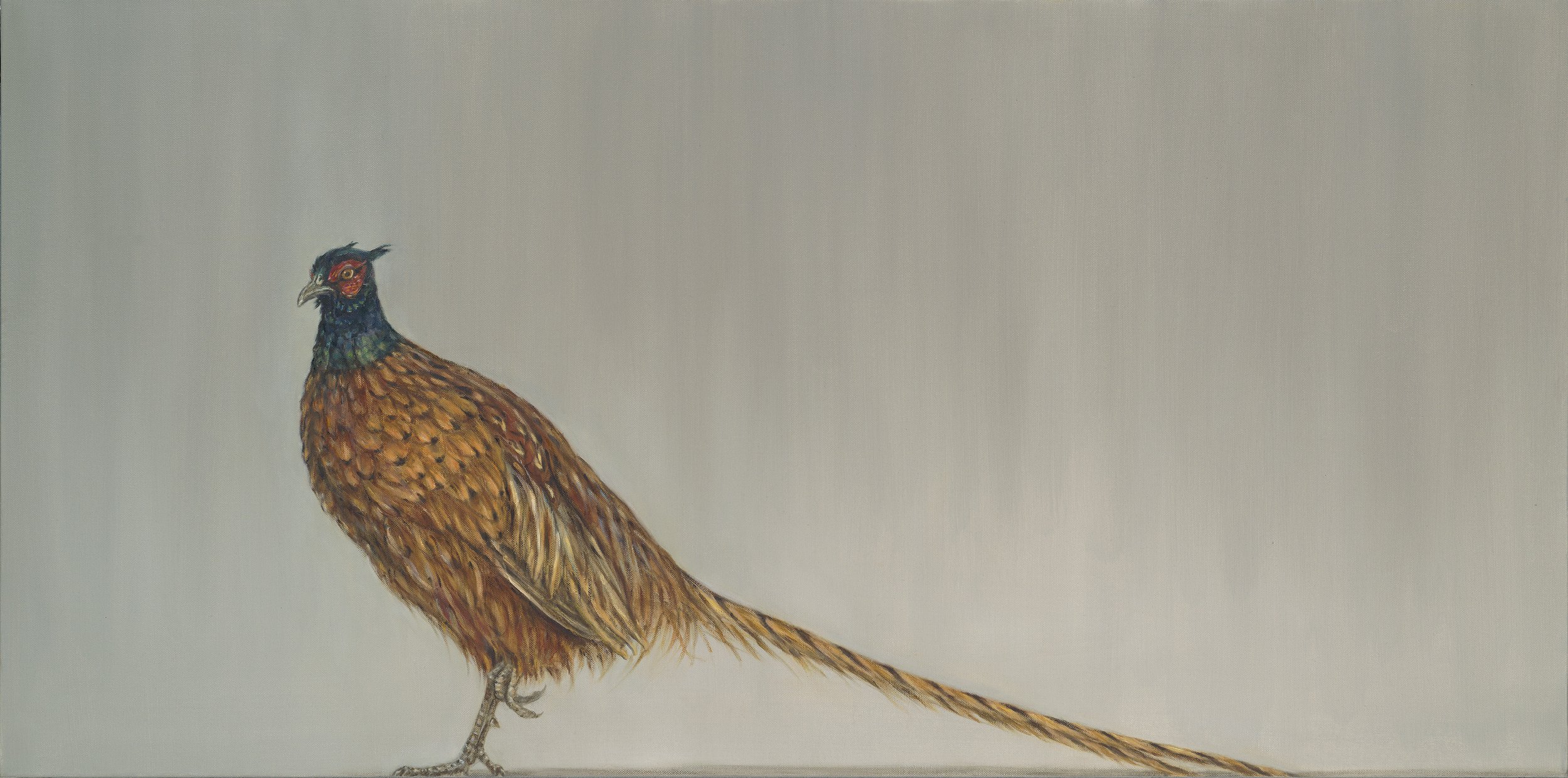 Pheasant*.jpg