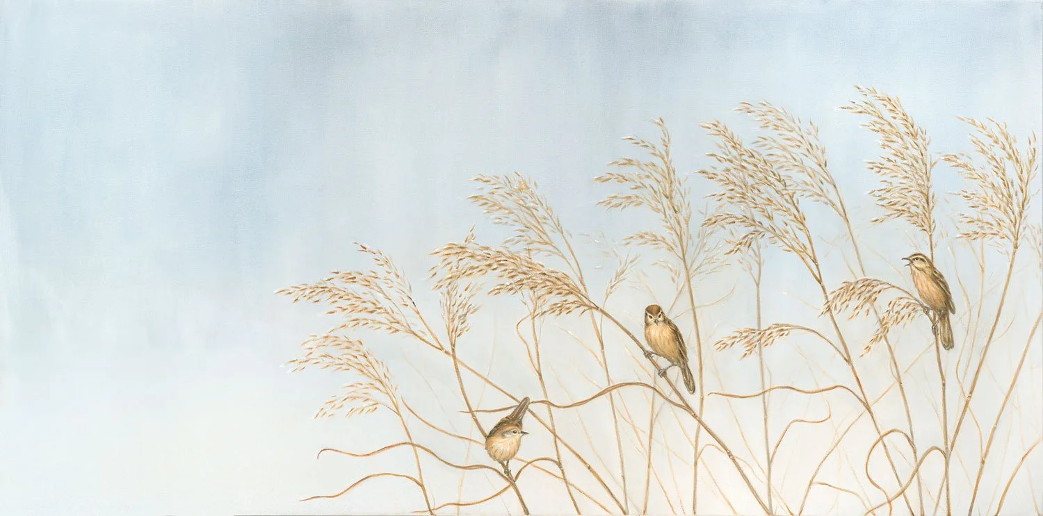 Warblers
Oil on Canvas 24" x 48"