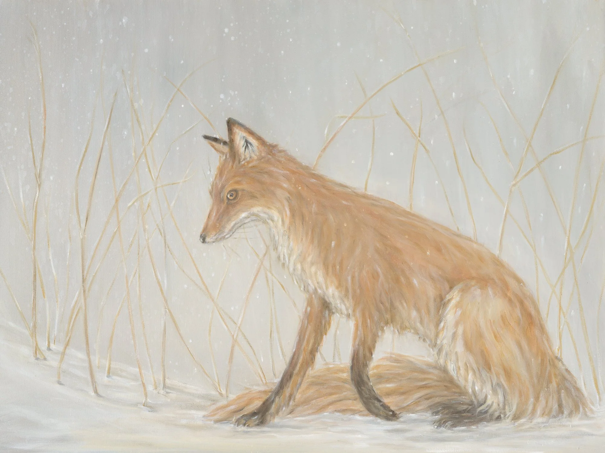 Vixen and Snow - Bella Bigsby - 30x40 inches.jpg