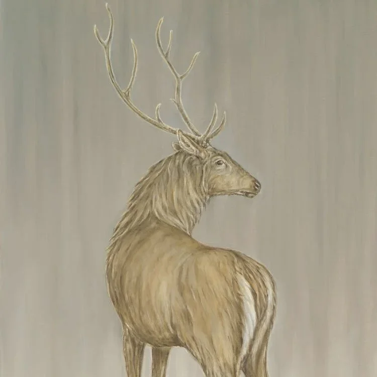 Stag- Greeting Cards-pack of 6