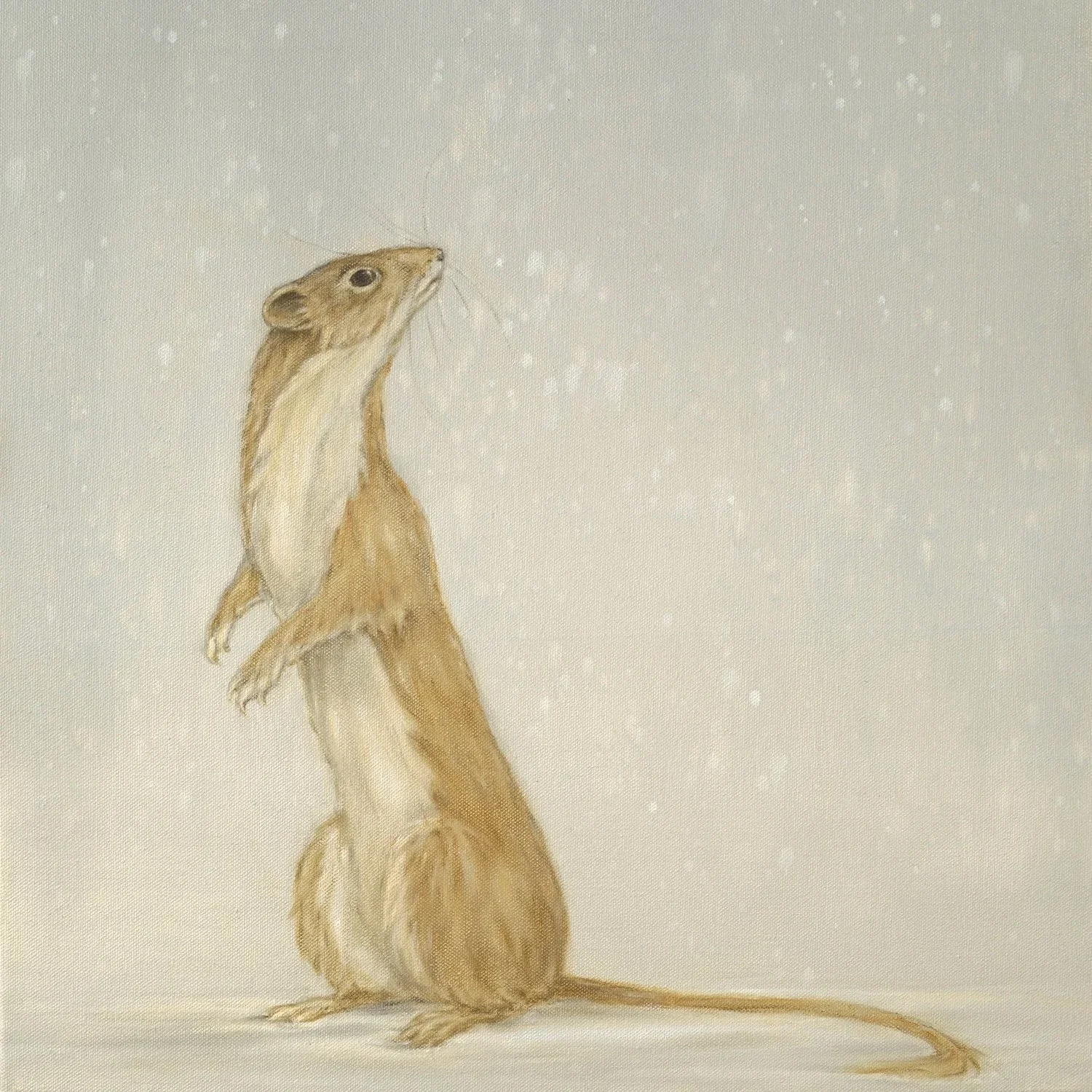 Weasel and Snow- Greeting Cards-pack of 6