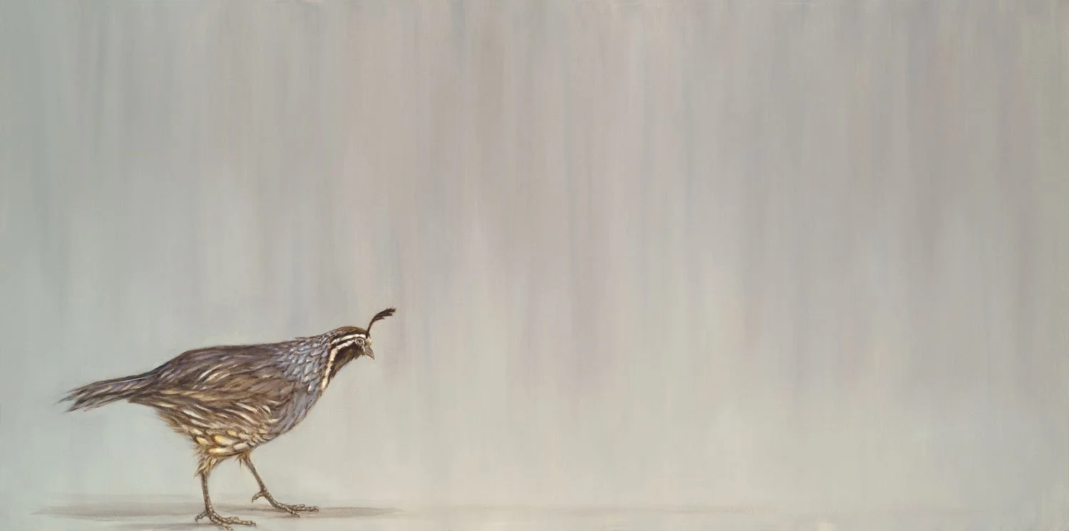 Walking Quail
Oil on Canvas 24" x 48"