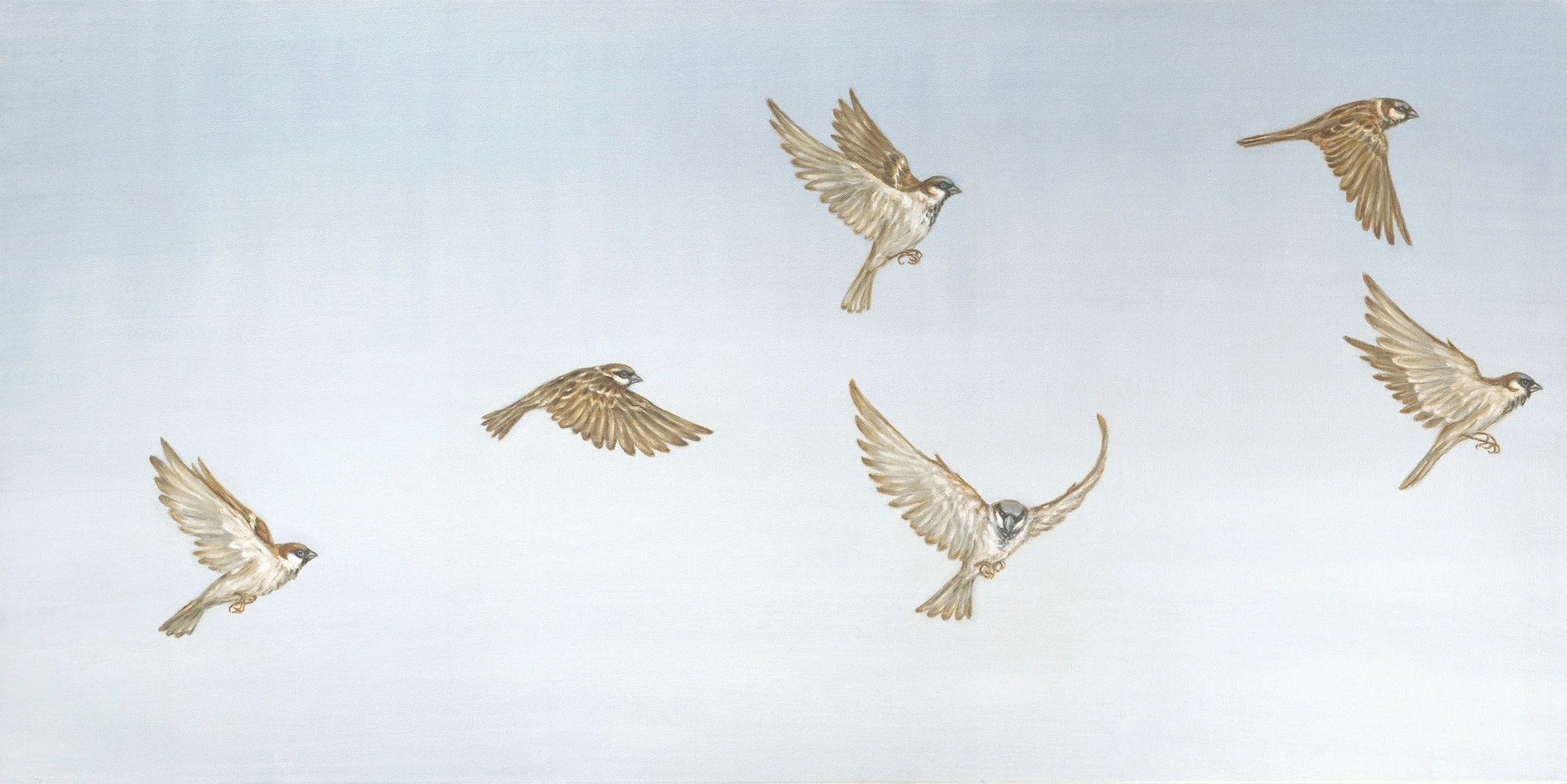 Flight of Sparrows- Greeting Card - Pack of 6