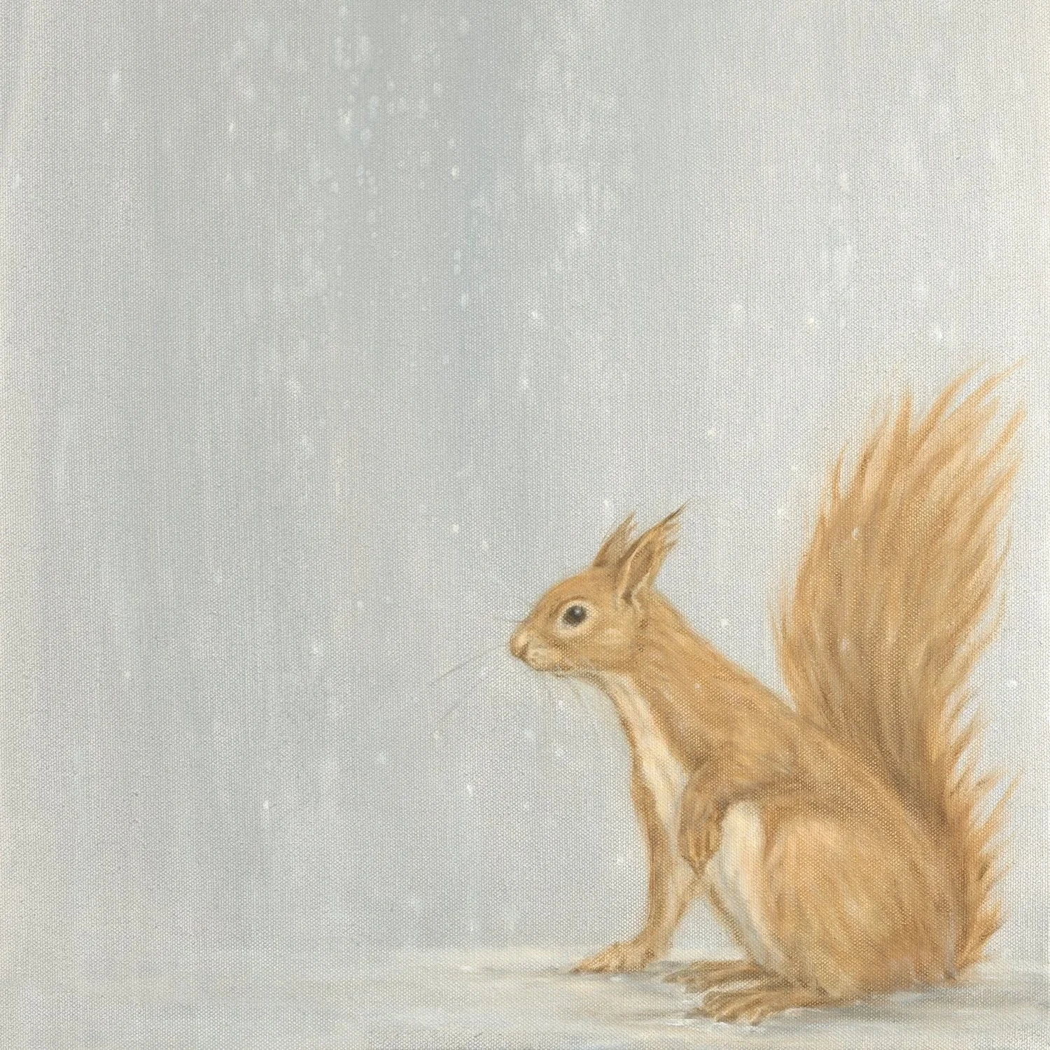 Red Squirrel- Greeting Cards-pack of 6