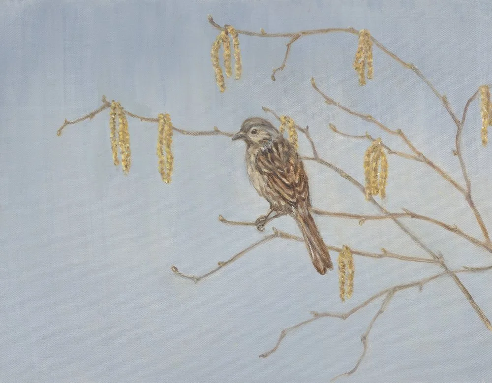 Hedge Sparrow and Hazel
Oil on Canvas 12" x 18"