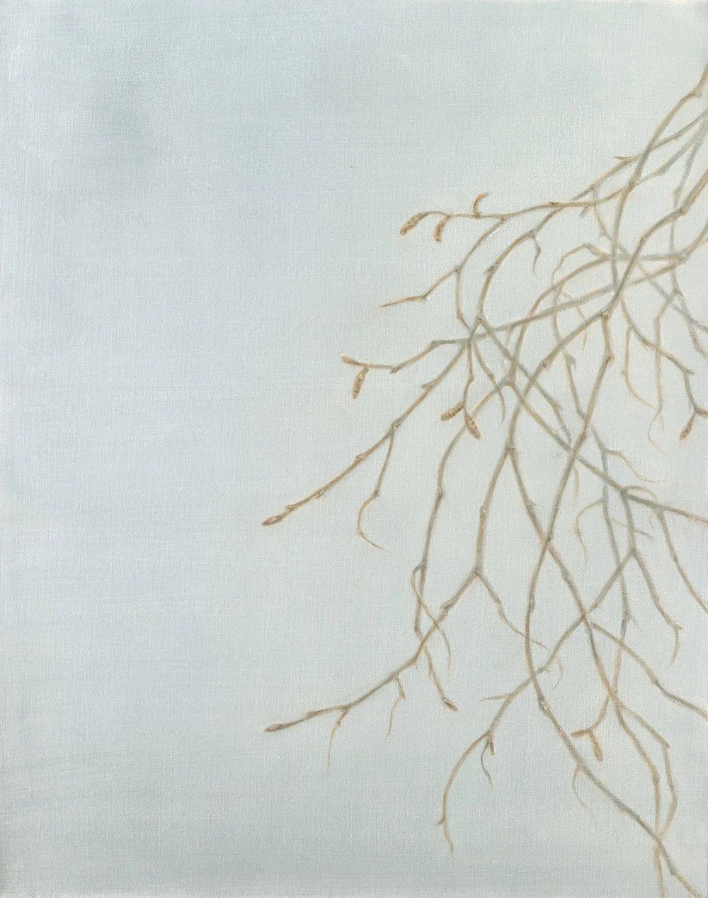 Birch Twigs
Oil on Canvas 20" x 16"