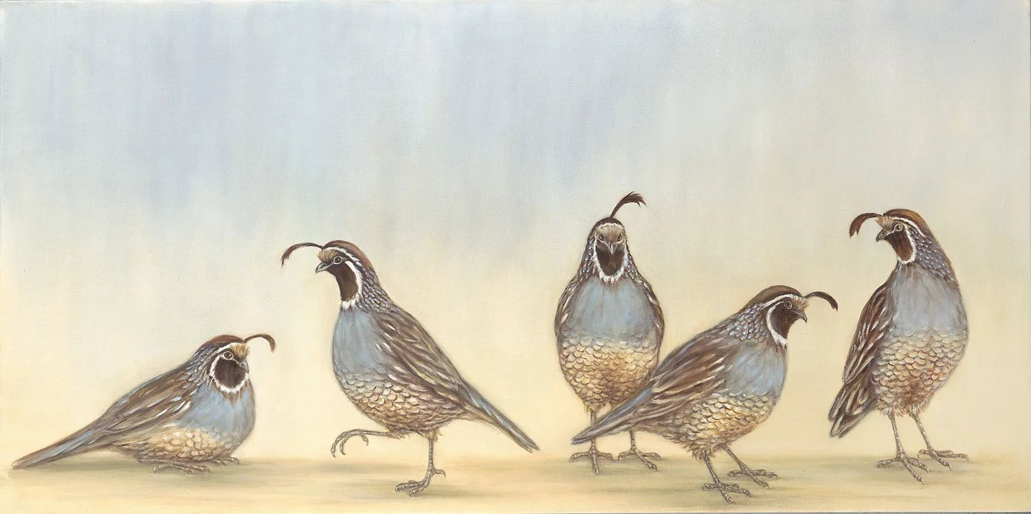 Bevy of Quails
Oil on Canvas 24" x 48"