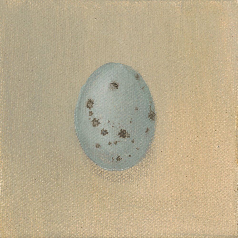 Starling Egg
Oil on Canvas 4" x 4"