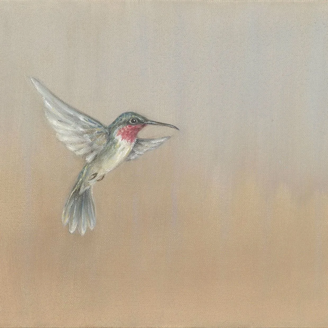 Hummingbirds- Greeting Card - Pack of 6