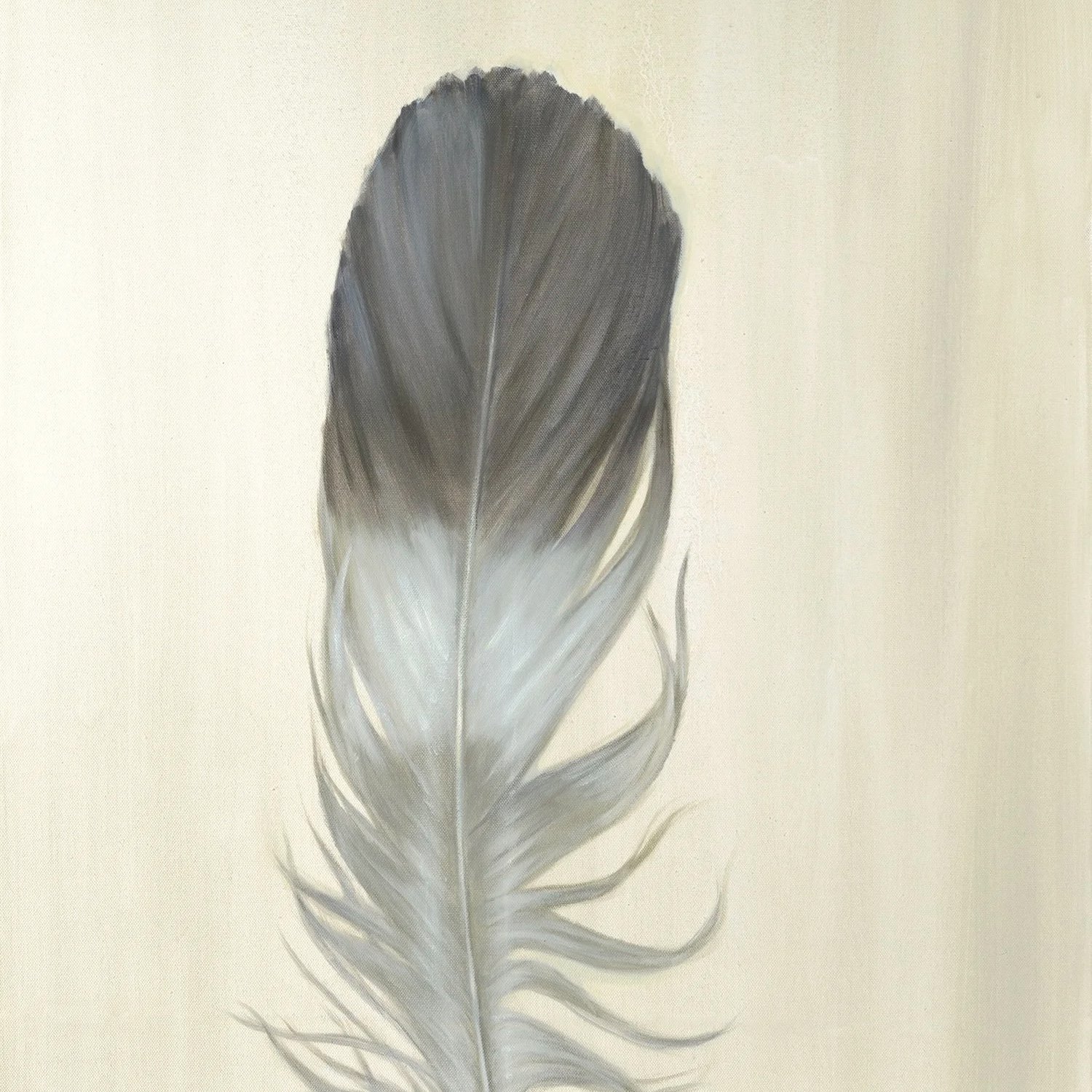 Banded Feather-Greeting Cards-Pack of 6