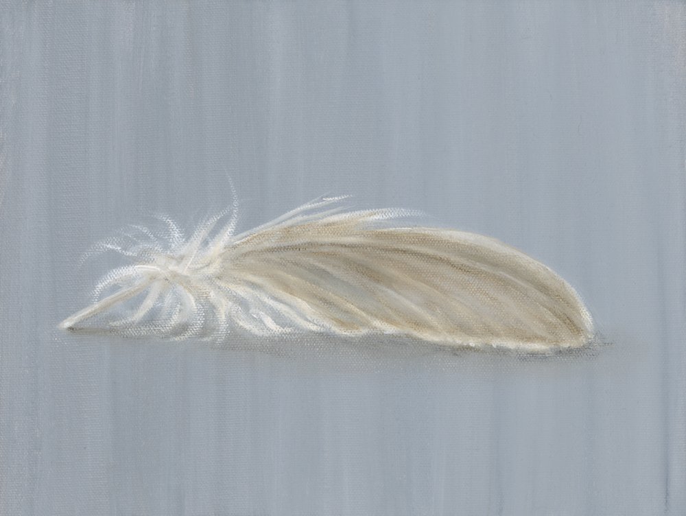 Small Brown Feather
Oil on Canvas 9" x 12"