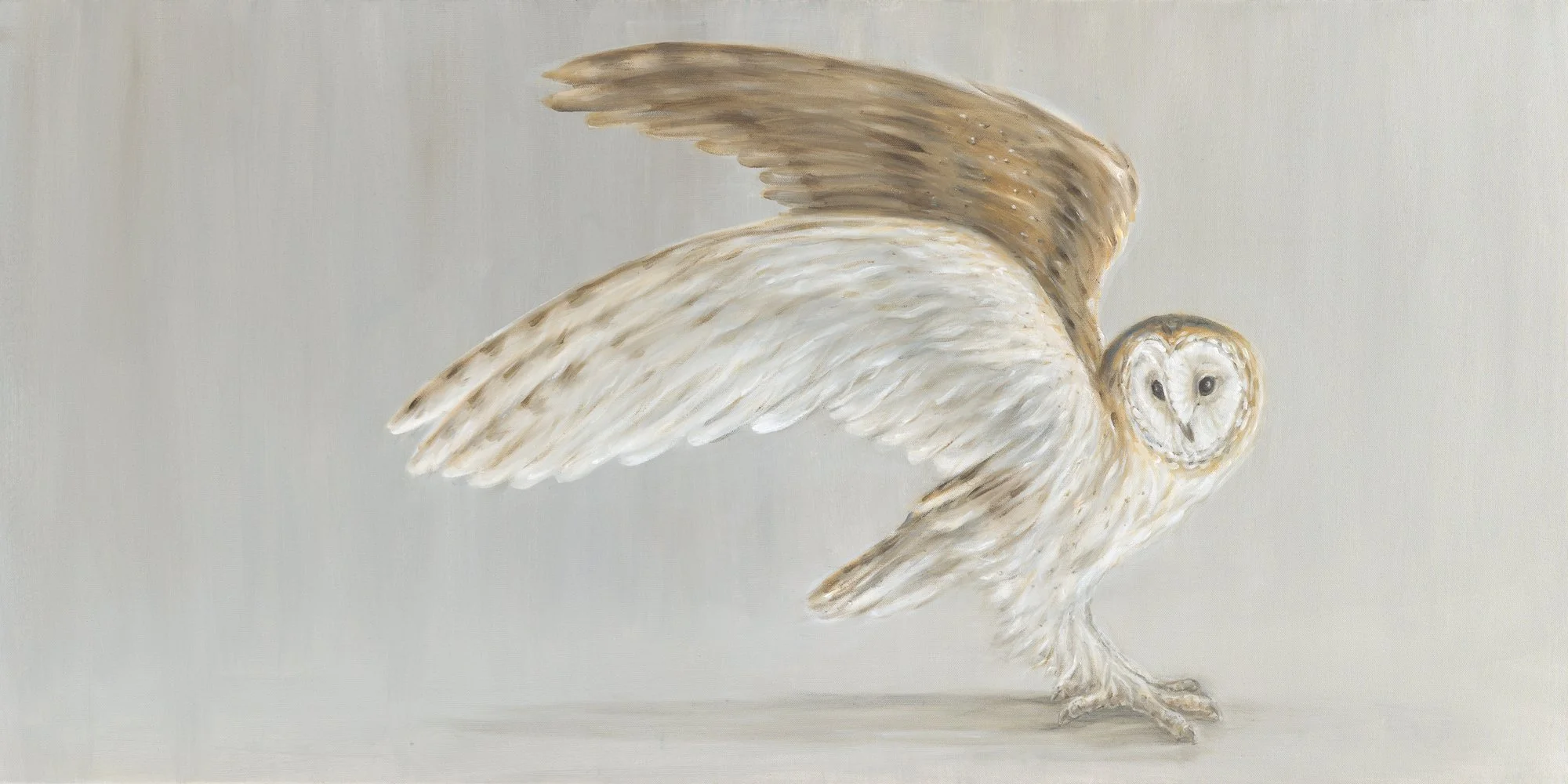 Barn Owl Unfolding - Bella Bigsby - 24x48 inches.jpg