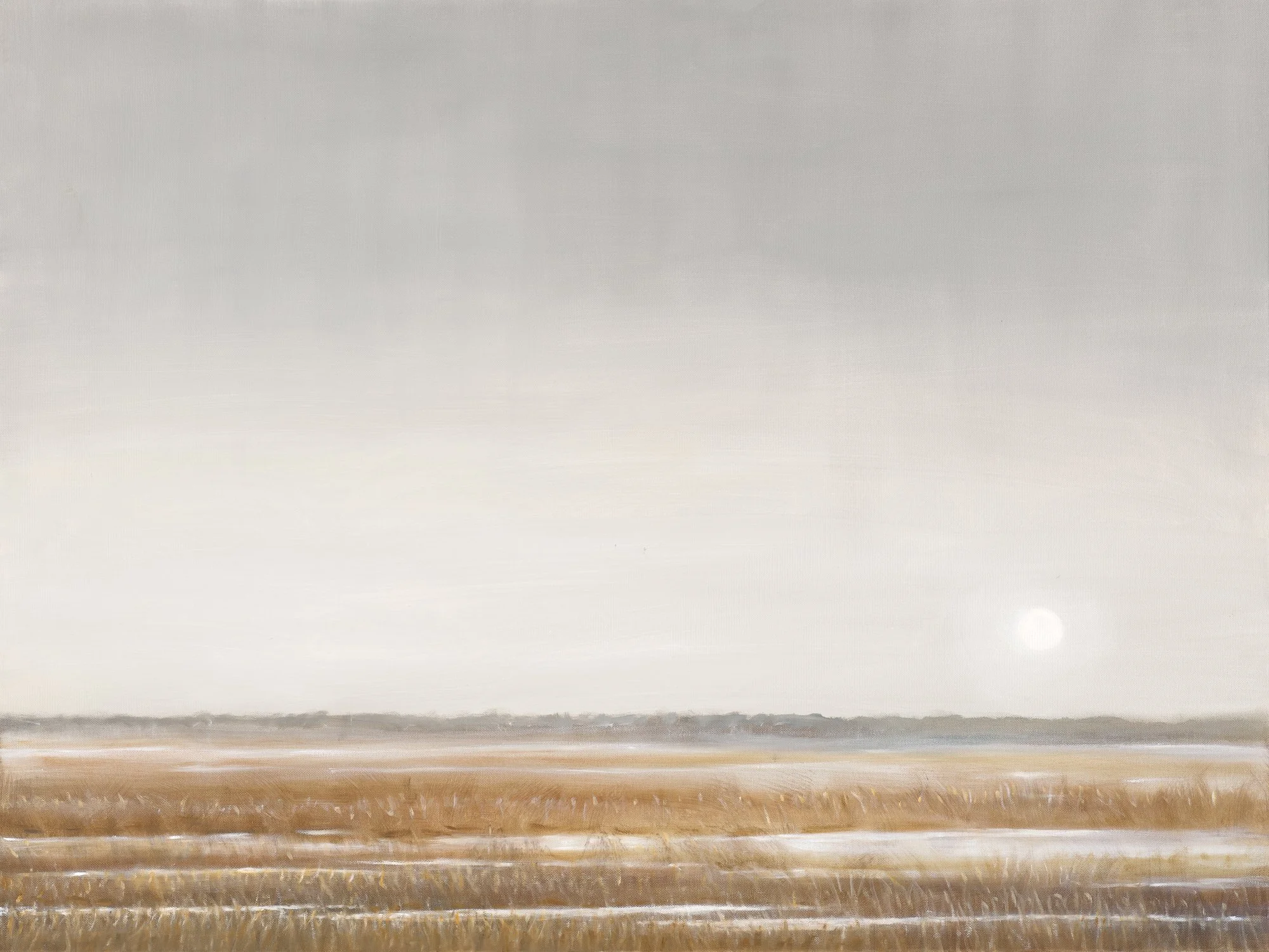 Marshlands - 30x40 inches - Bella Bigsby.jpg