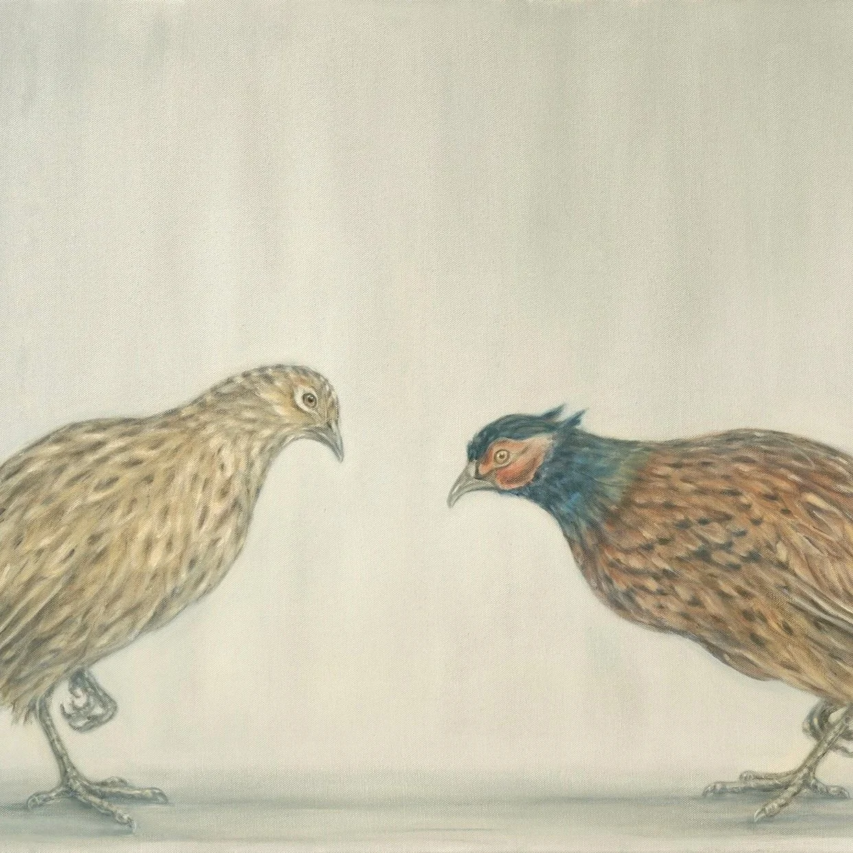 Pair of Pheasants - Greeting Card - Pack of 6