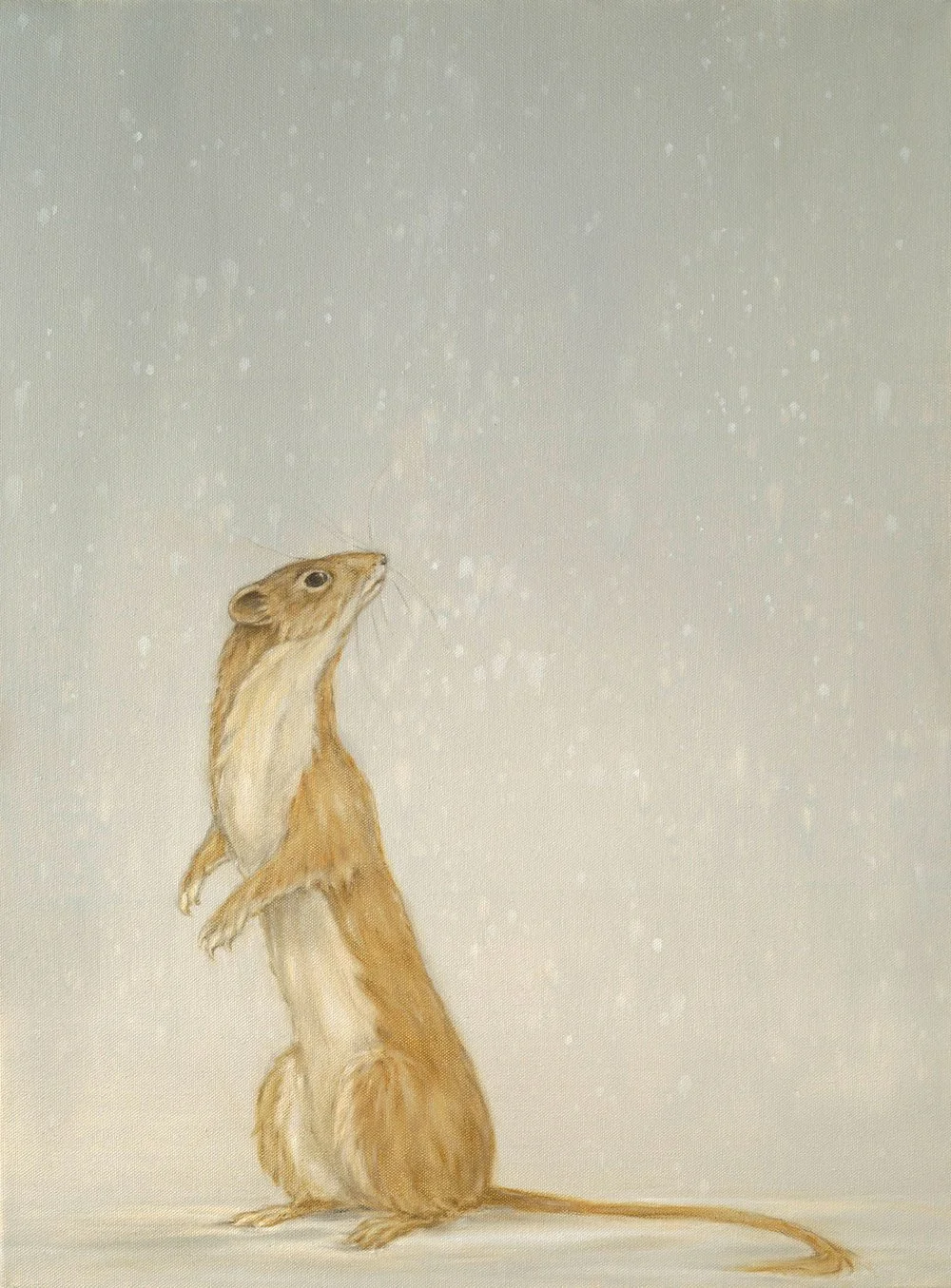 Weasel and Snow
Oil on Canvas 24" x 18"