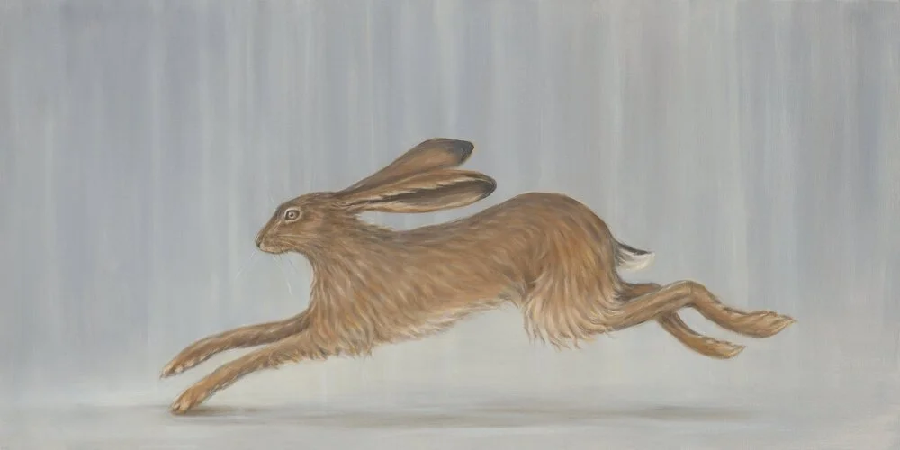 Darting Hare
Oil on Canvas 24" x 48"