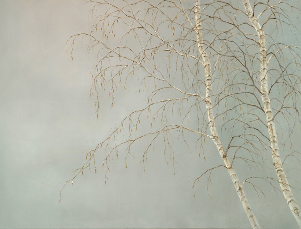 Silver Birches
Oil on Canvas 30" x 40"