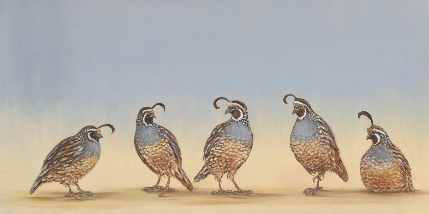 Covey of Quails
Oil on Canvas 24" x 48"