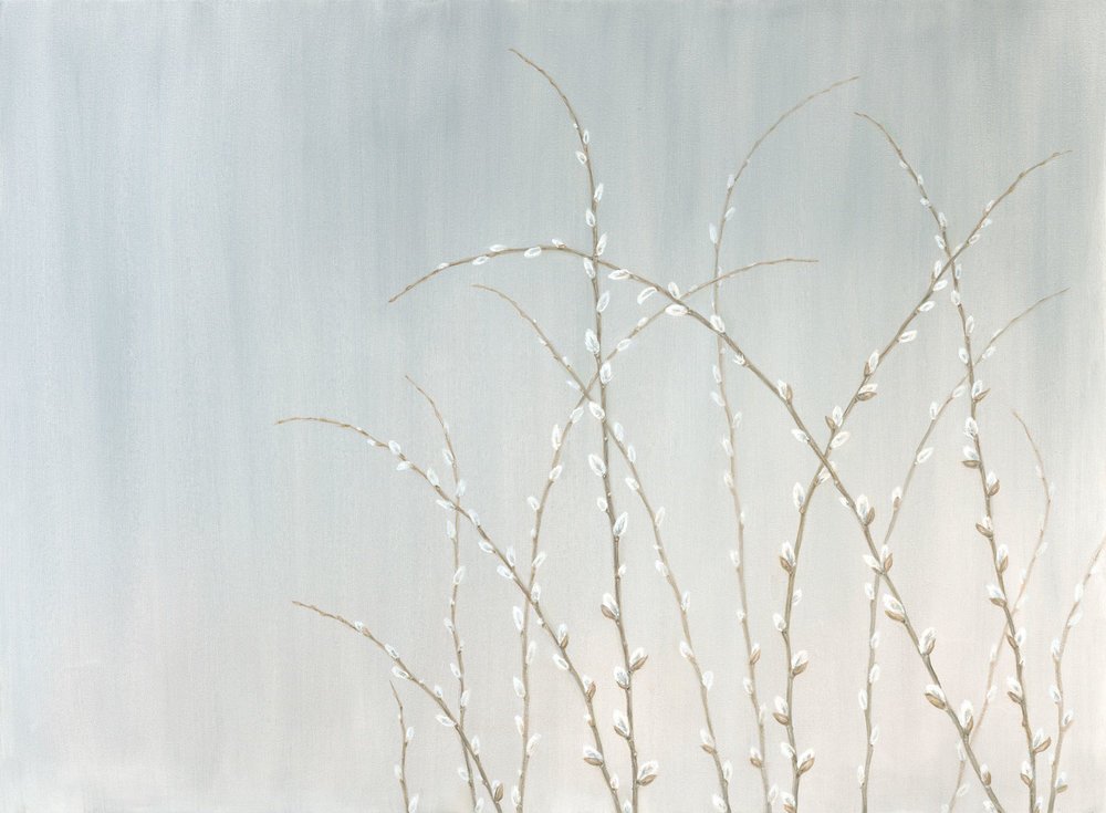 Willow Wands
Oil on Canvas 30" x 40"