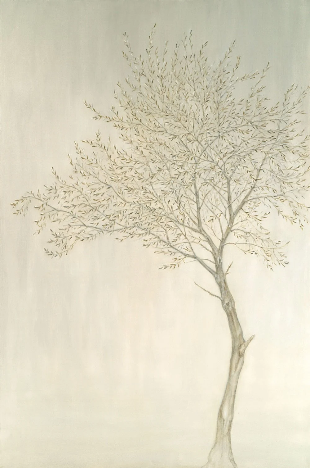 Olive Tree
Oil on Canvas 60" x 48"