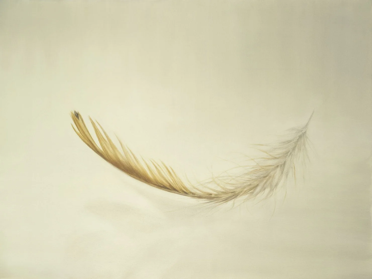 A single, light brown feather with darker tips resting on a plain, light-colored surface. Art by Bella Bigsby