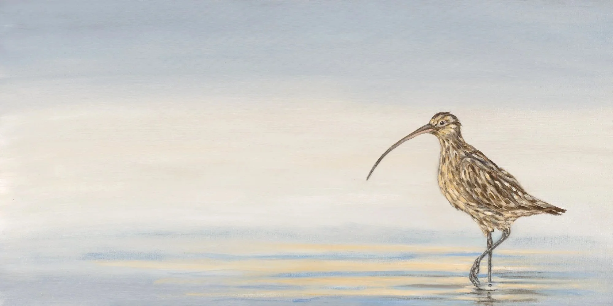 Curlew+-+24x48+inches+-+Bella+Bigsby.jpg