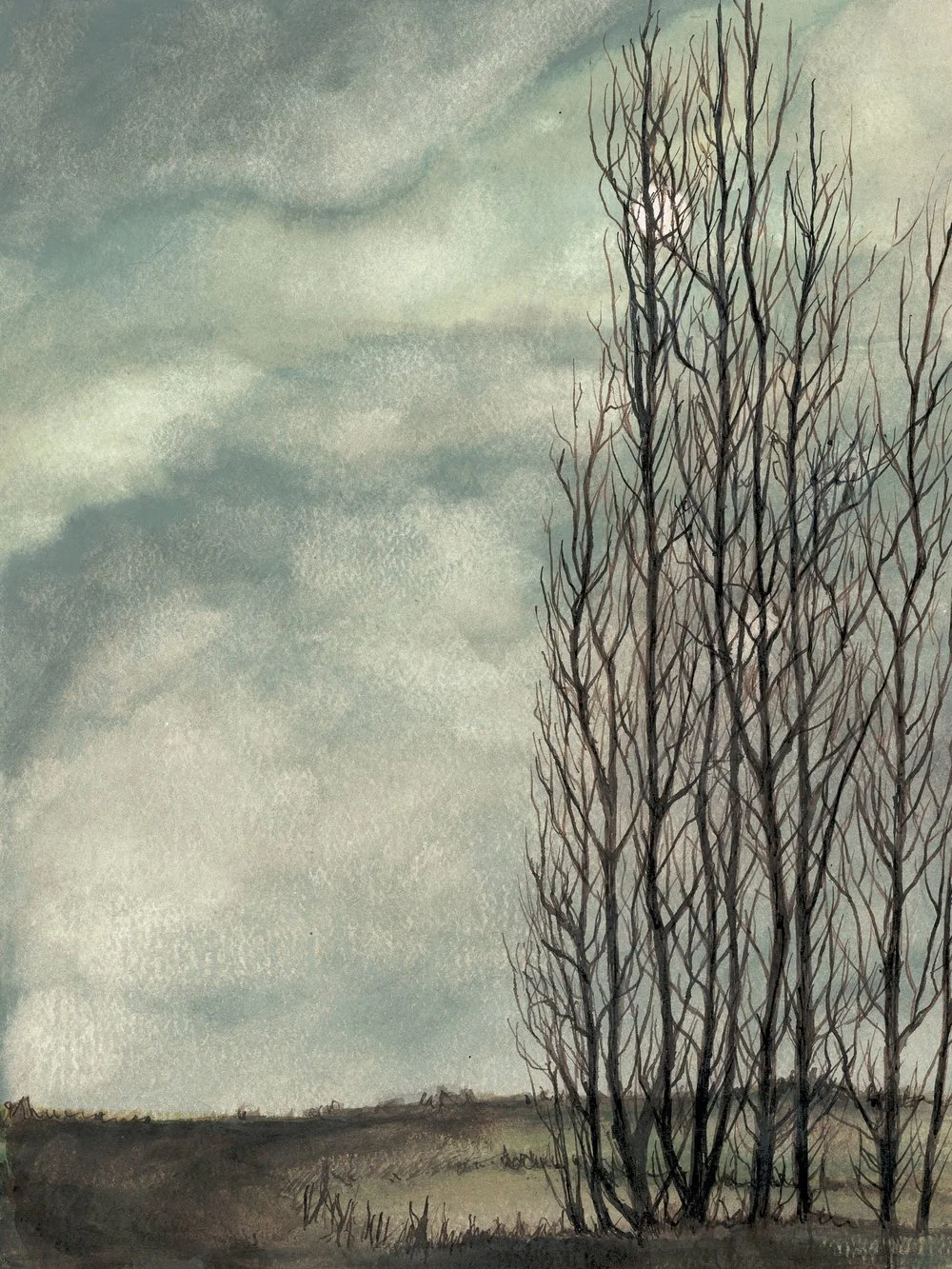 Willows
Watercolour on Paper, 12" x 9"