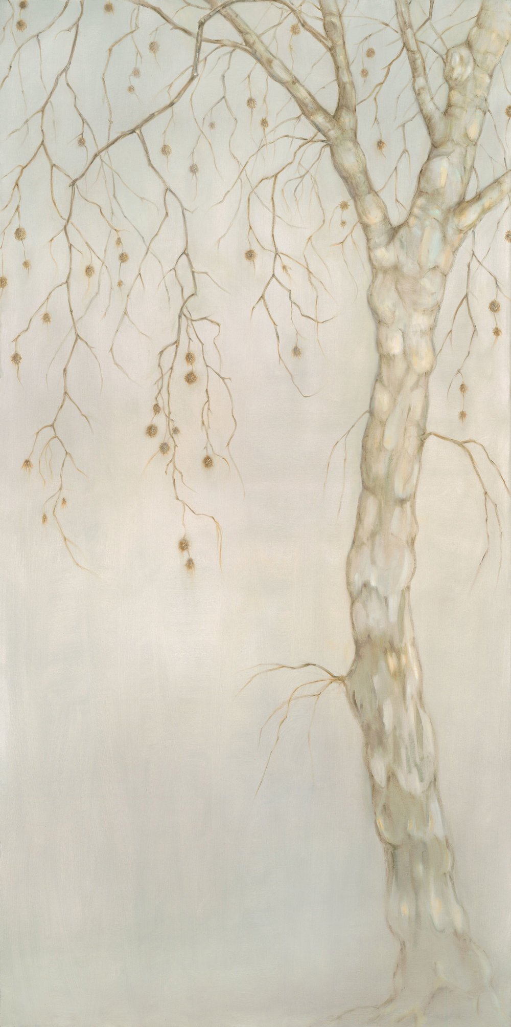 Plane Tree
Oil on Canvas 72" x 36"