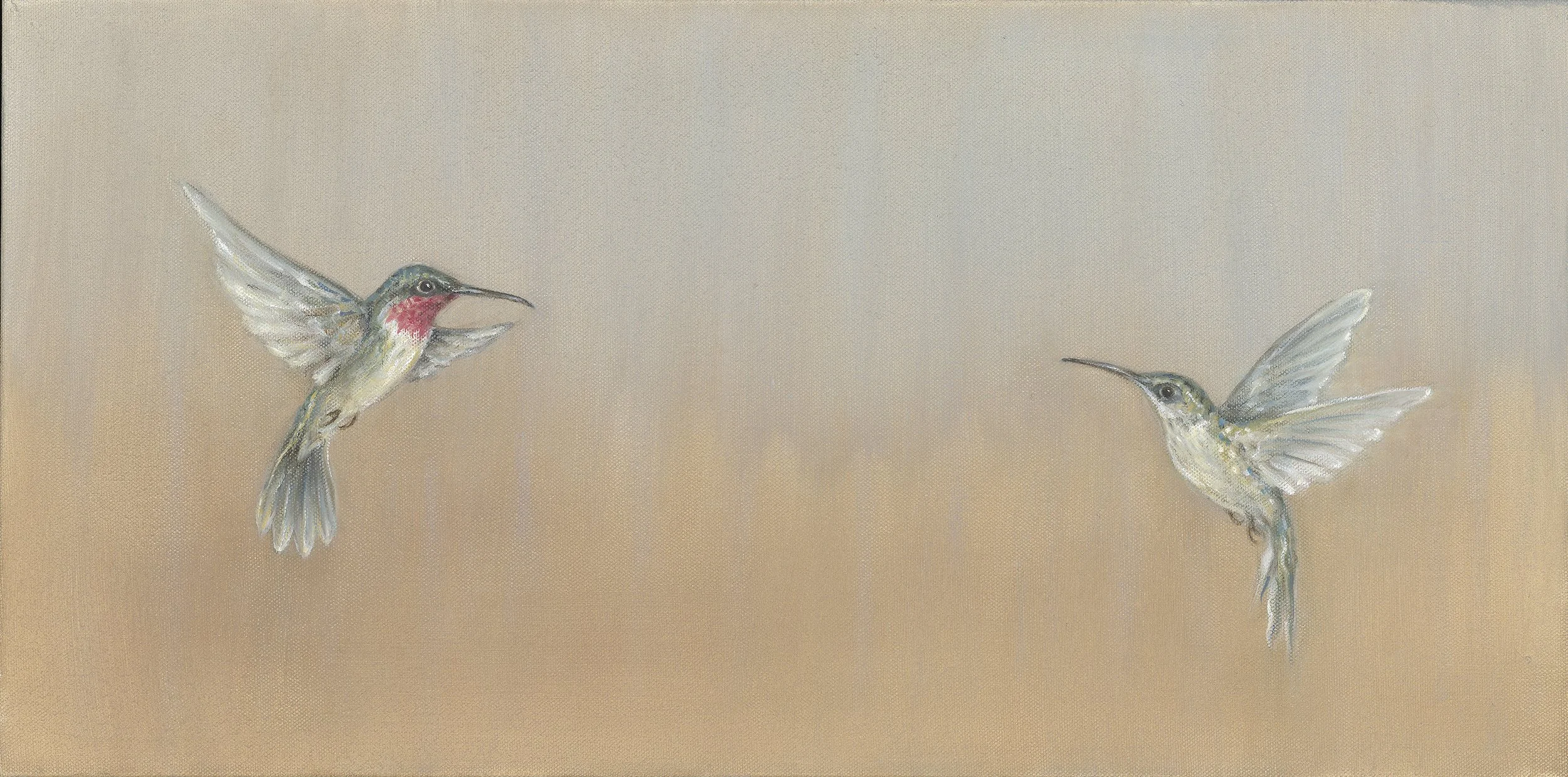 Anna Hummingbirds.jpg