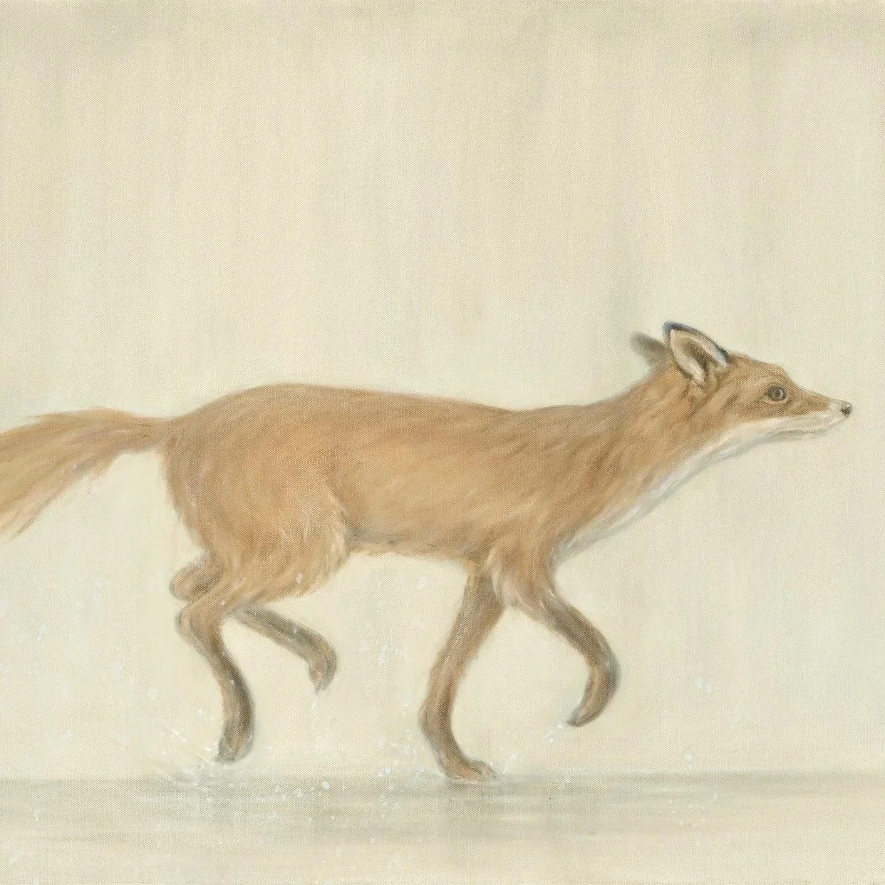 Running Fox- Greeting Cards-pack of 6