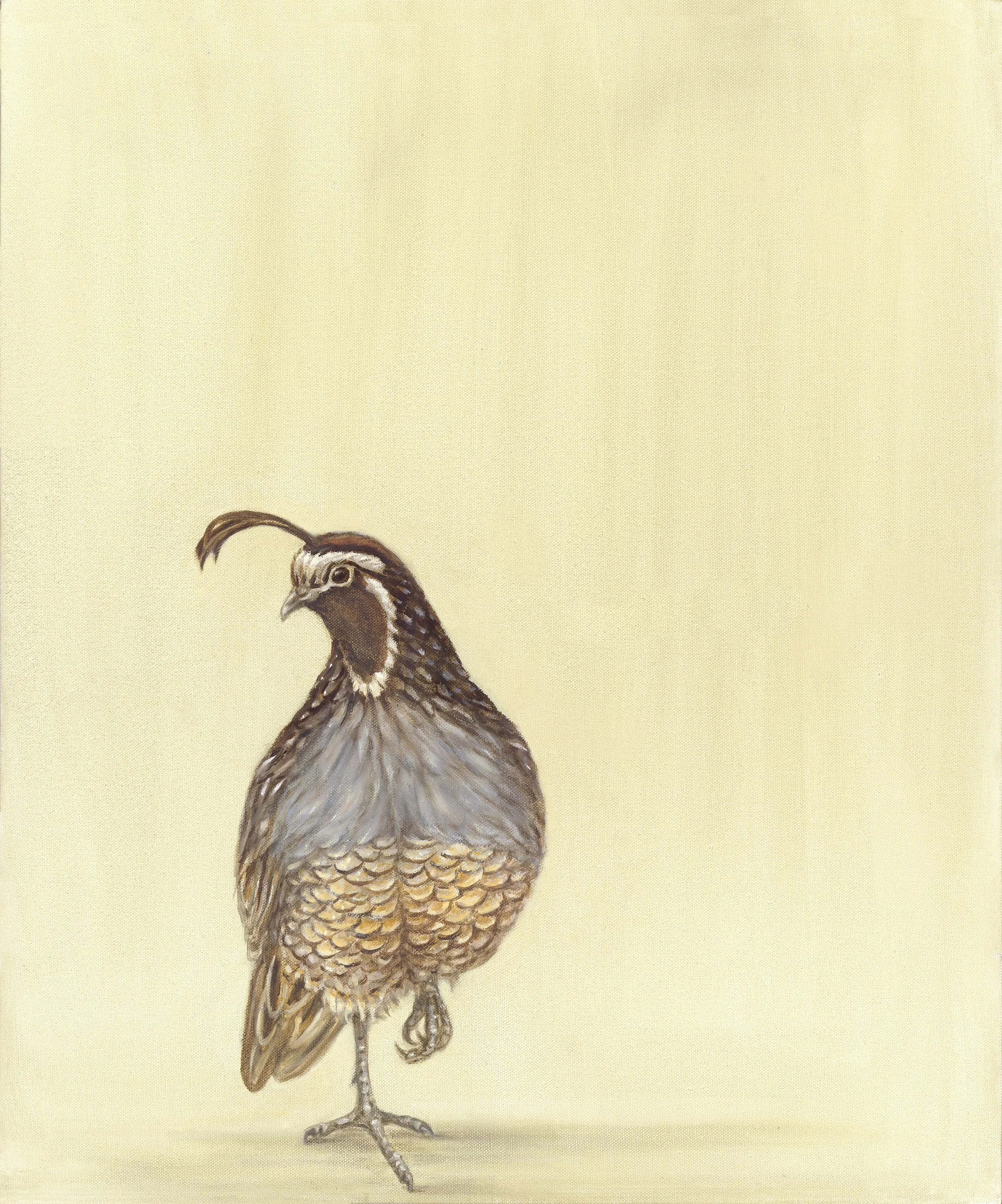 Quail.jpg