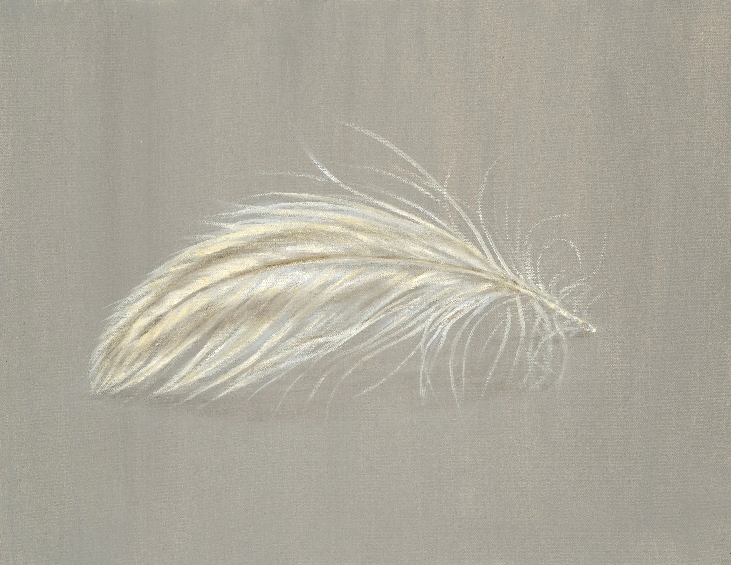 Downy Feather-Greeting Cards-Pack of 6