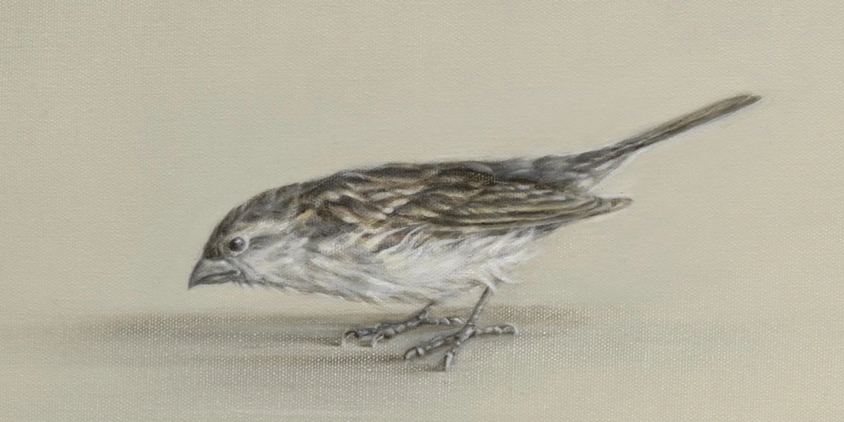 Sparrow Meeting detail 2*.jpg