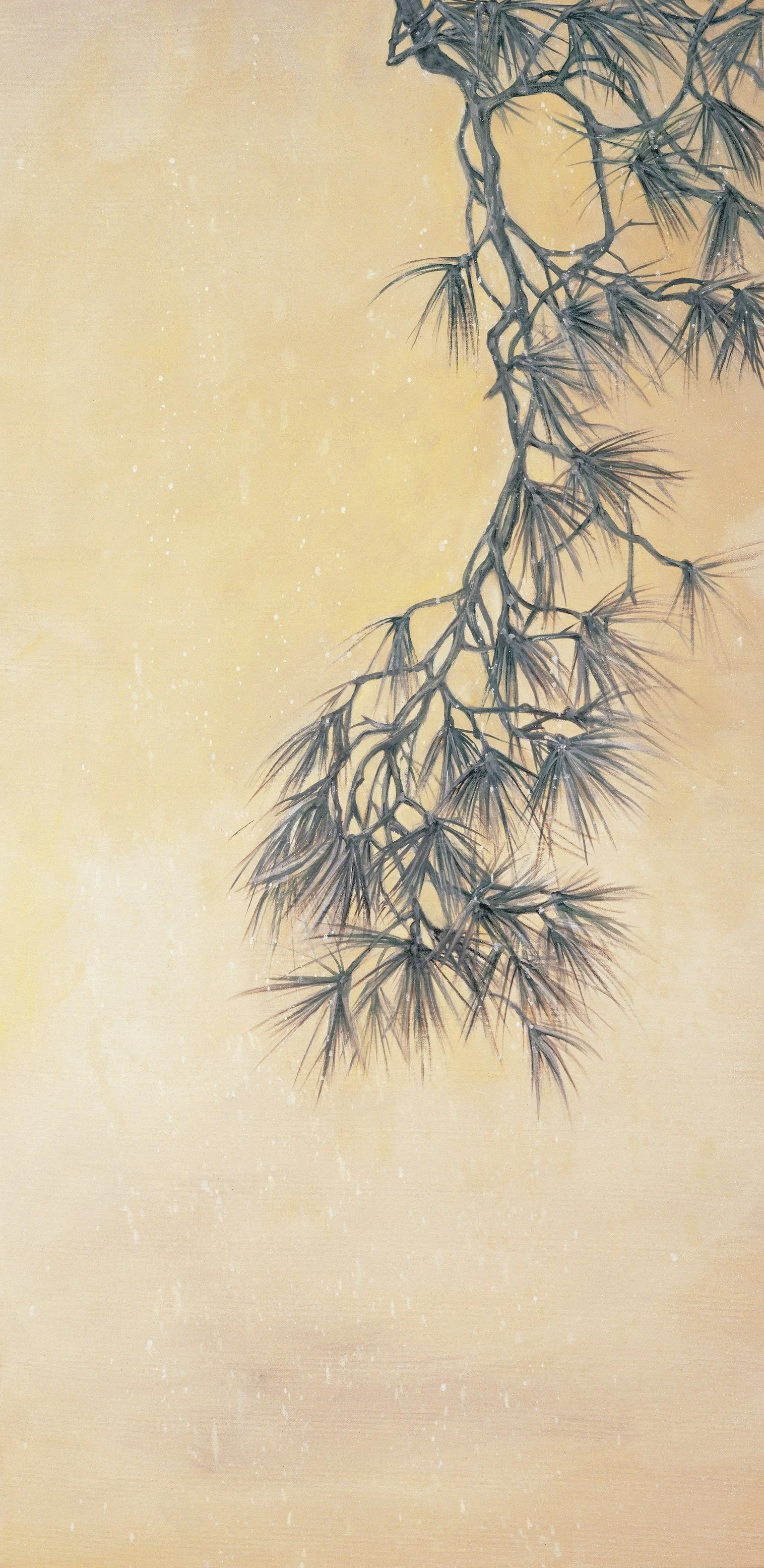 Pine Branch-Greeting Cards-Pack of 6