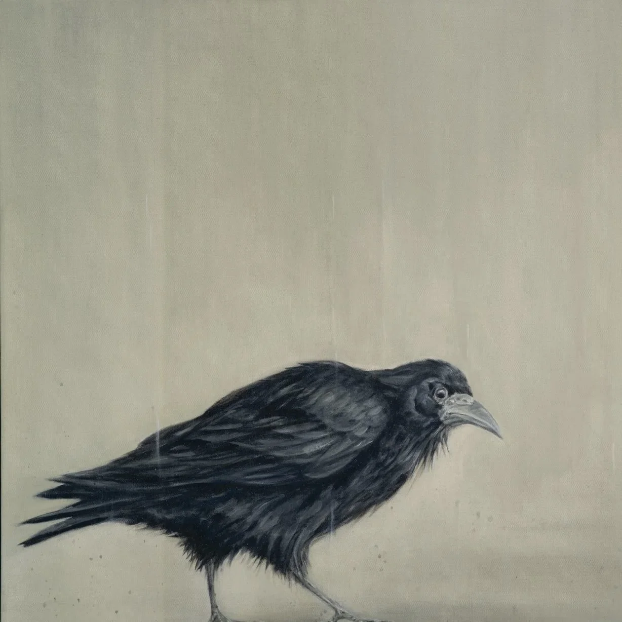 Walking Rook - Greeting Card - Pack of 6