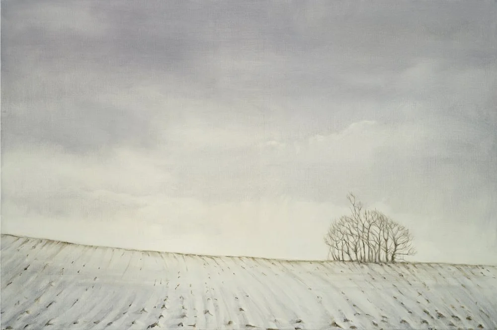 Snowy Field-Greeting Cards-Pack of 6