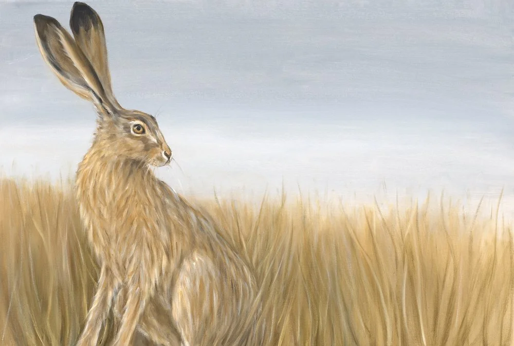 Hare and Field
Oil on Canvas 24" x 36"