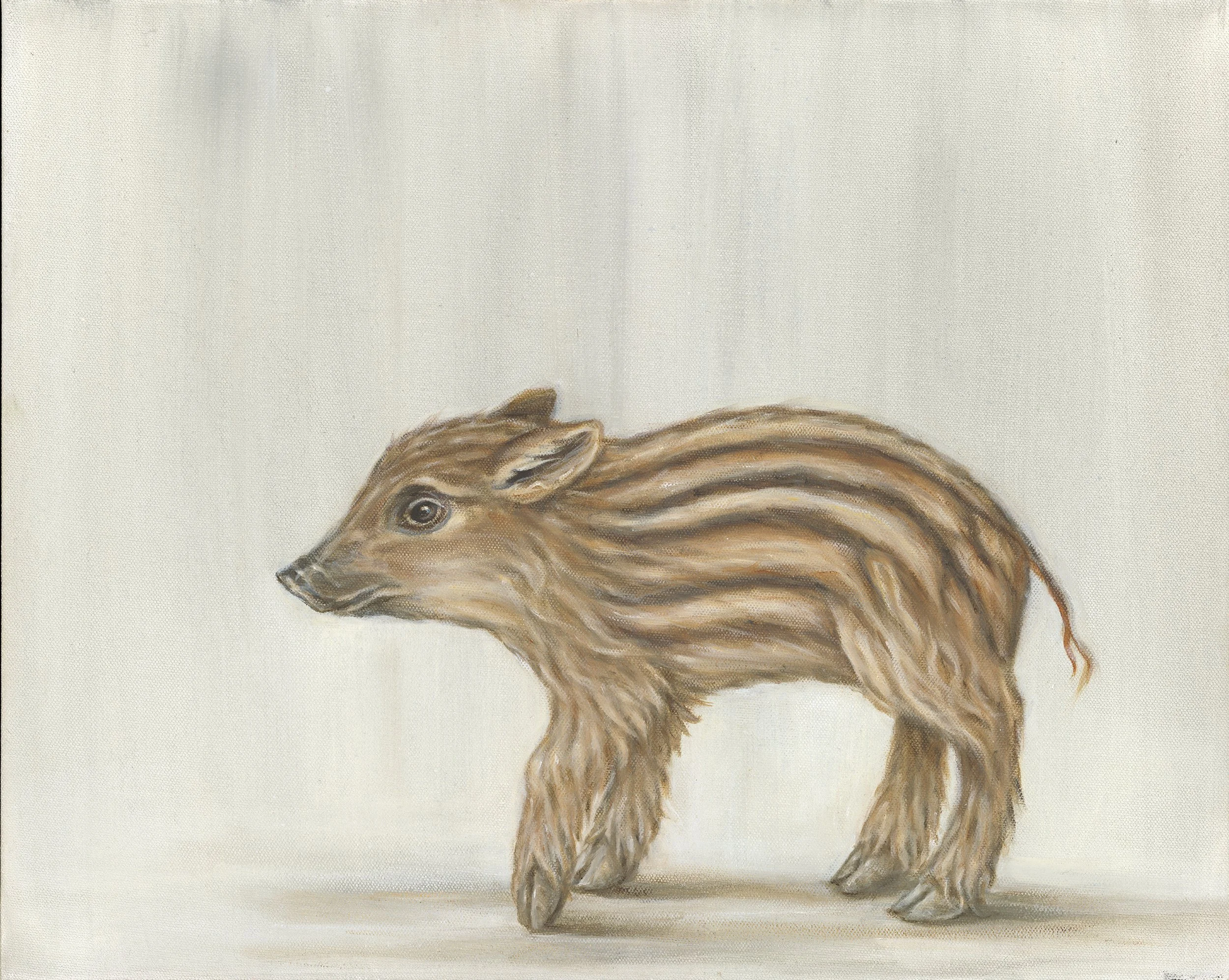 Boar Piglet- Greeting Cards-pack of 6