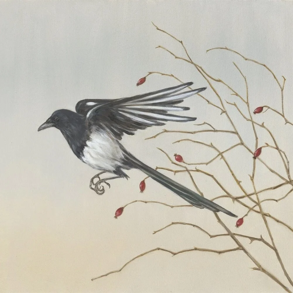 Magpie Rising - Greeting Card - Pack of 6