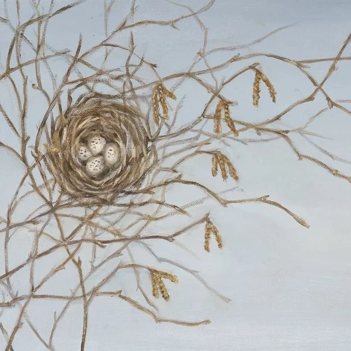 Wren's Nest-Greeting Cards-Pack of 6