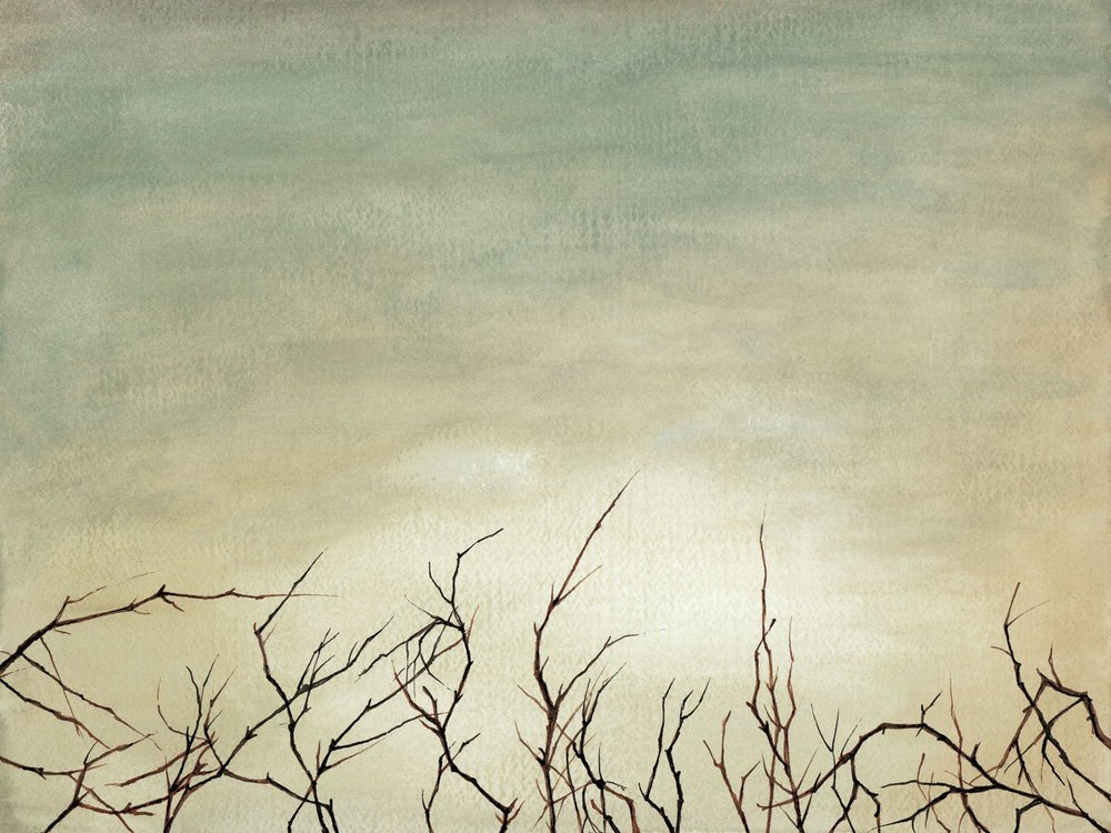 Treetops
Watercolour on Paper 9" x 12"